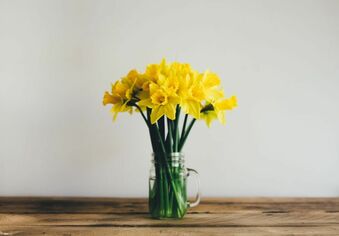Daffodils in vase on wooden table.