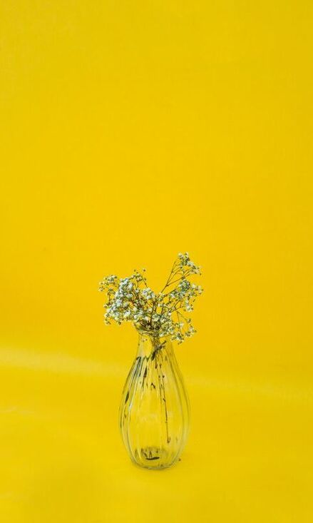 Flowers in vase against yellow background.